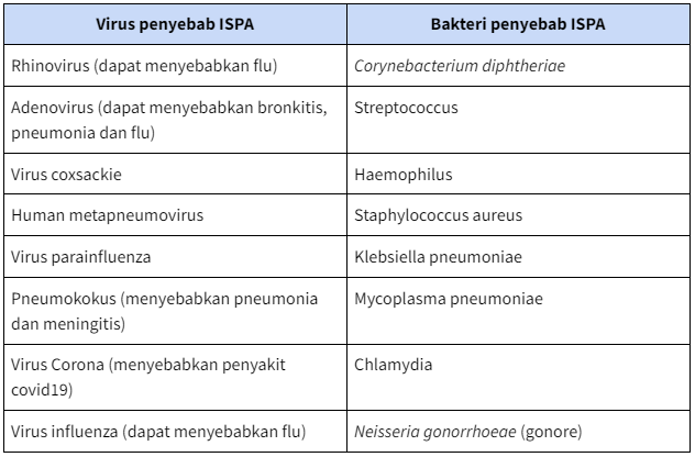 Penyebab ISPA Pada Anak